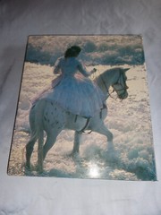 All Those Girls in Love With Horses by Robert Vavra (HCDJ 1981) 1st 0688006493