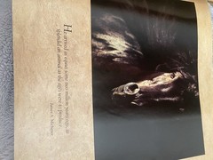 Vavra’s Vision – Equine Images – 2007 Hardcover – SIGNED/Inscribed – HC DJ