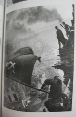 Destruction of Nazi Germany Final Battles World War II Europe History 10 books