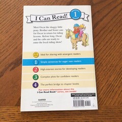 I Can Read Level 1 Ser.: The Berenstain Bears and the Shaggy Little Pony by Jan