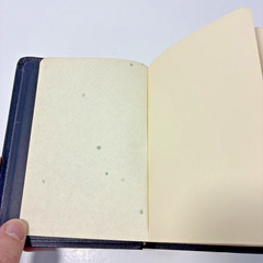 Vintage Compact Cambridge HTF Hand Grained Morocco Leather Concordance KJV Bible