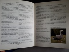 The Handbook of Aviculture Frank Woolham 1987 Bird Keeping Hardcover