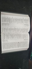 Gray Genuine Leather | NKJV Prophecy Study Bible