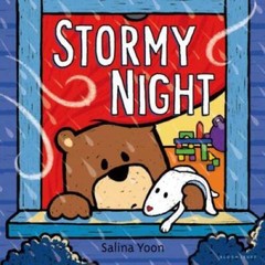 Stormy Night – Hardcover By Yoon, Salina – VERY GOOD