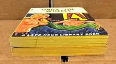 Dan Elliot (lot of 2) vintage sleaze paperbacks