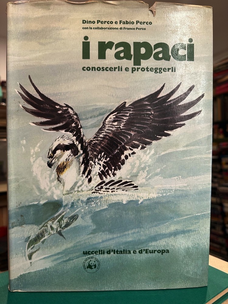 Ornithologie Die Greifvögel Erkennen Schützen – Buch Perco