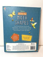 Usborne Math Shapes Lift-the-Flap Hardcover Ages 4-8 Activity Book Illustrated