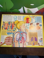 Giant Book Of The Human Body Vtg Hardcover Book 1990 Neil Ardley James West
