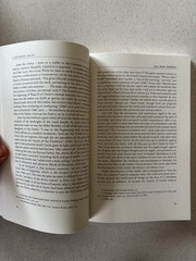 A Different Jesus? Robert L. Millet 2005 Paperback Comparative Theology Eerdmans