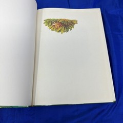 The Mahabharata Retold By Vladimir Miltner Illustrated By Jaromir Skrivanek HB
