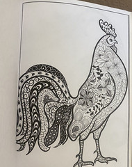Bendon Adult Coloring Book Coloring Birds 14 Tear and Share Pages NEW