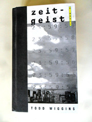 Zeitgeist Todd Wiggins Hardcover 1996 1st Edition