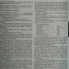 Florida Criminal Law & Motor Vehicle Manual 2015-2016 Edition Case Annotations
