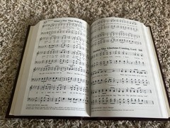 ⛪️ Lot of 15 Sing His Praise 1991 Gospel Publishing House Christian Hymnal Hymn