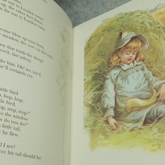Mother Goose Nursery Rhymes Hardcover 2000 Classic Illustrated Gilt Edges