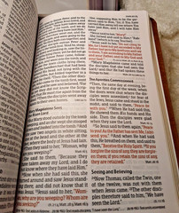 NKJV Bible Large Print Personal Reference Designer Series Natural Faith NIB