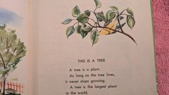 Gene Darby, WHAT IS A TREE (The What Is It Series) 1957, Ex-Library, HB, Child
