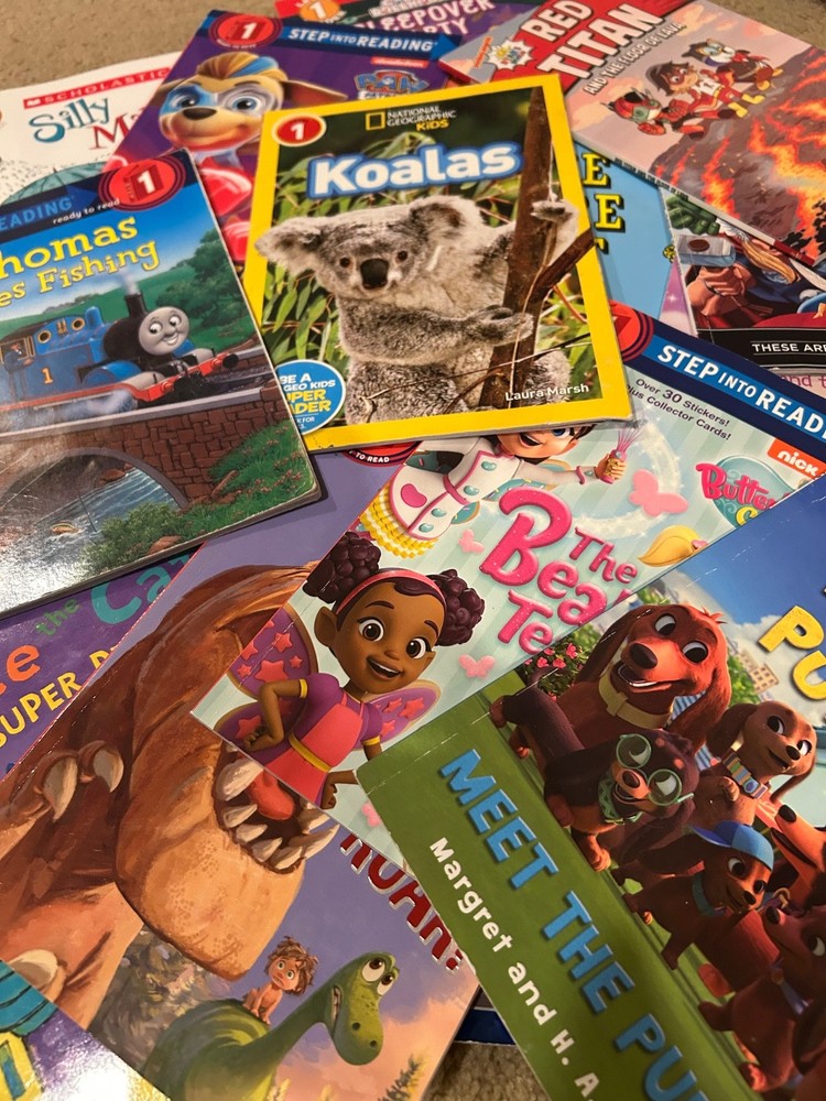 Mystery Random Lot of 10 books Level 1 I can Read type books for Girl or Boy