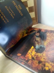 The Andalusian A Portrait by Robert Vavra First Edition Hardcover