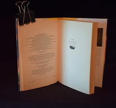A Tangle of Knots by Lisa Graff ~ c 2013 ~ Pages 234 ~ Hardcover ~ Ex Library