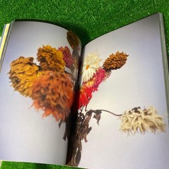 Nuuke Nobuyoshi Araki Photo Book 30x22cm Limited 1000 Softcover