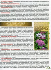Book In Ukrainian Повний атлас лікарських рослин Author not specified Complete