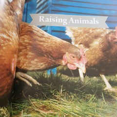 Self-Sufficient Living Book Step-By-Step Make Cheese Shampoo Butter Tips Tricks