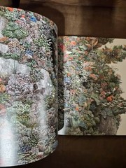 The Pen Manabu Ikeda Japanese Art Book 2017 Technical Pen Painting Japan