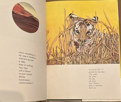 Tiger Flower by Robert Vavra Illustrated by Fleur Cowles 1968 HC/DJ First UK ED