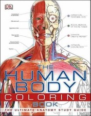 The Human Body Coloring Book – Paperback By DK Publishing – GOOD