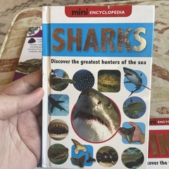 Mini encyclopedia for kids sharks rocks weather dinos make believe ideas