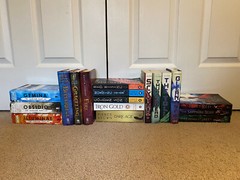 Young Adult Fiction – Choose your own series/trilogy