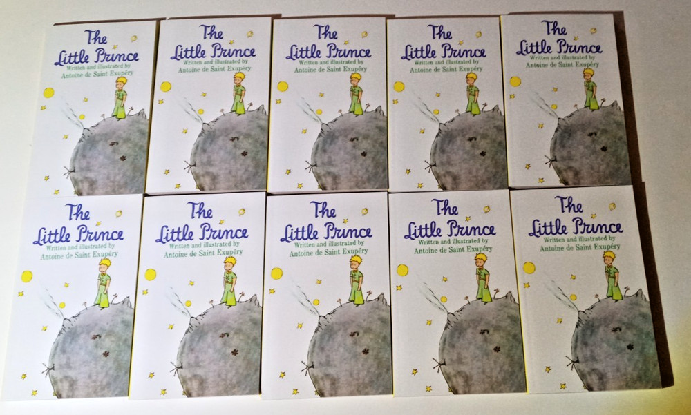 BRAND NEW LOT (10) THE LITTLE PRINCE ANTOINE DE SAINT EXUPERY GUIDED READING