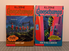 Lot of Goosebumps Vintage 1990s Books – Horror – Lot of 16 Books