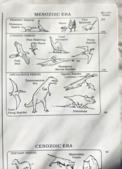 A Field Guide to Dinosaurs Coloring Book – Like New/Unused Vintage 1989 Rare PB