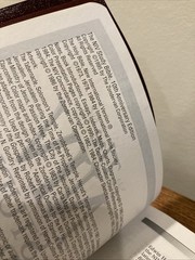 1984 NIV Study Bible: 10th Anniversary Edition Bonded Leather (1995, Zondervan)