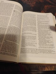 Slimline Reference Bible NLT New Living Translation by Tyndale Burgundy leather