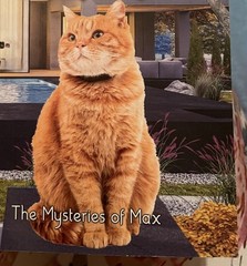 PURRFECT PASSION The Mysteries of Max Book #23 ‎ by Nic Saint NEW -210 Pages