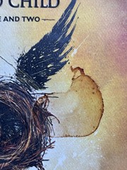 Harry Potter and the Cursed Child – Parts One & Two Special Rehearsal Edition