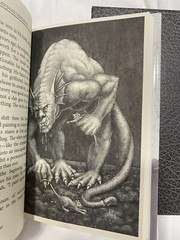 The Painted Darkness by Brian Freeman, SIGNED Limited Edition, HCDJ in Slipcase