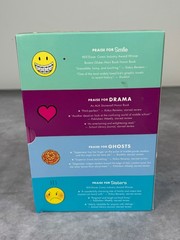 Raina Telgemeier Collection Box Set 4 book lot (Smile, Drama, Sisters, Ghosts,)