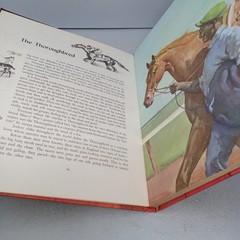 Album of Horses: 1978 23rd Printing Rand McNally Hardcover by Marguerite Henry