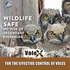VoleX All Natural Non Toxic Vole Killer Pellets 8oz Safe for Crops Pets