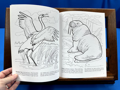 Endangered Animals Coloring Book- Jan Sovak, 2009, New