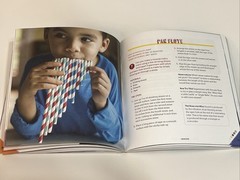 100+ Fun STEM / STEAM Projects and Why They Work by Crystal Chatterton Paperback