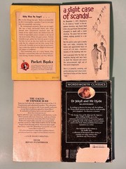 [LOT of 30] Vintage Paperbacks Great Authors & Titles Various Mixed Genres Clean