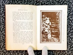 Buffalo Roost, F. H. Cheley, 1913, First Edition, Hardcover, Antique