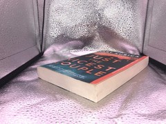 Mary Kubica – Just The Nicest Couples Paperback SEE DESCRIPTION