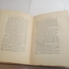1891 illustrations of the Book of Job