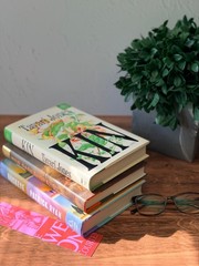 Book of the Month Hardcover Bundle 3 Literary Fiction Jones McConaghy Ryan